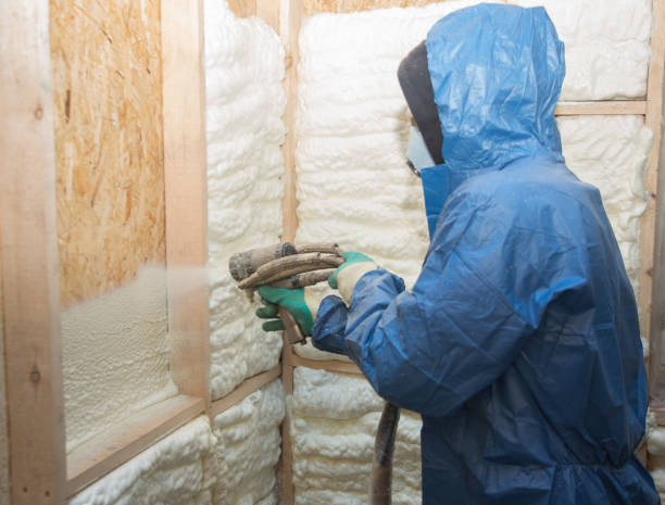 Best Blown-In Insulation  in Ronan, MT